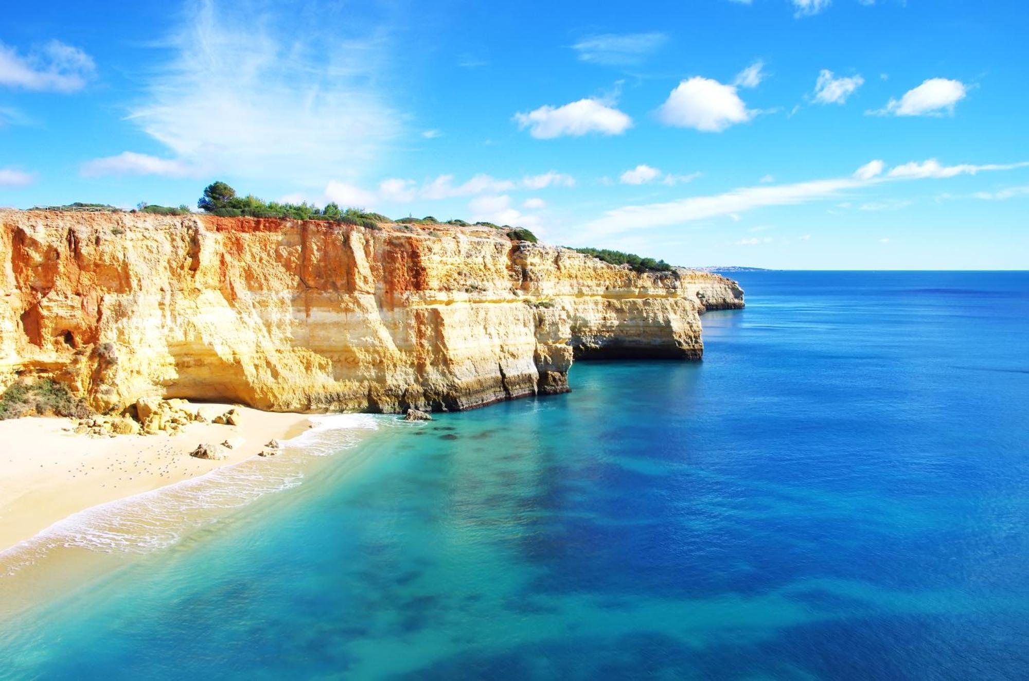 Bnb Homes Praia Da Rocha Beach Cozy Apartment 50 M Away From The Ocean ポルティマン エクステリア 写真